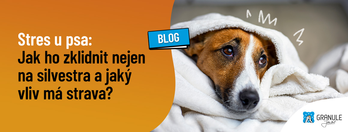 web_1160x441_blog_2024_stres_u_psa[1]